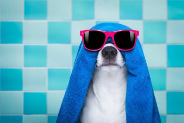 köpek duş veya Sağlık Spa