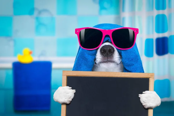 Cão no chuveiro ou spa de bem-estar — Fotografia de Stock