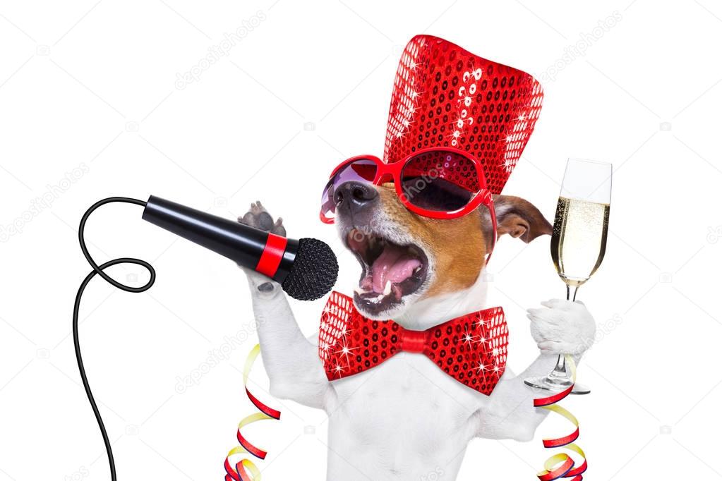 happy new year dog celberation