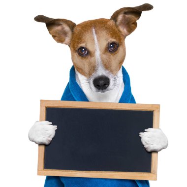 köpek duş veya Sağlık Spa