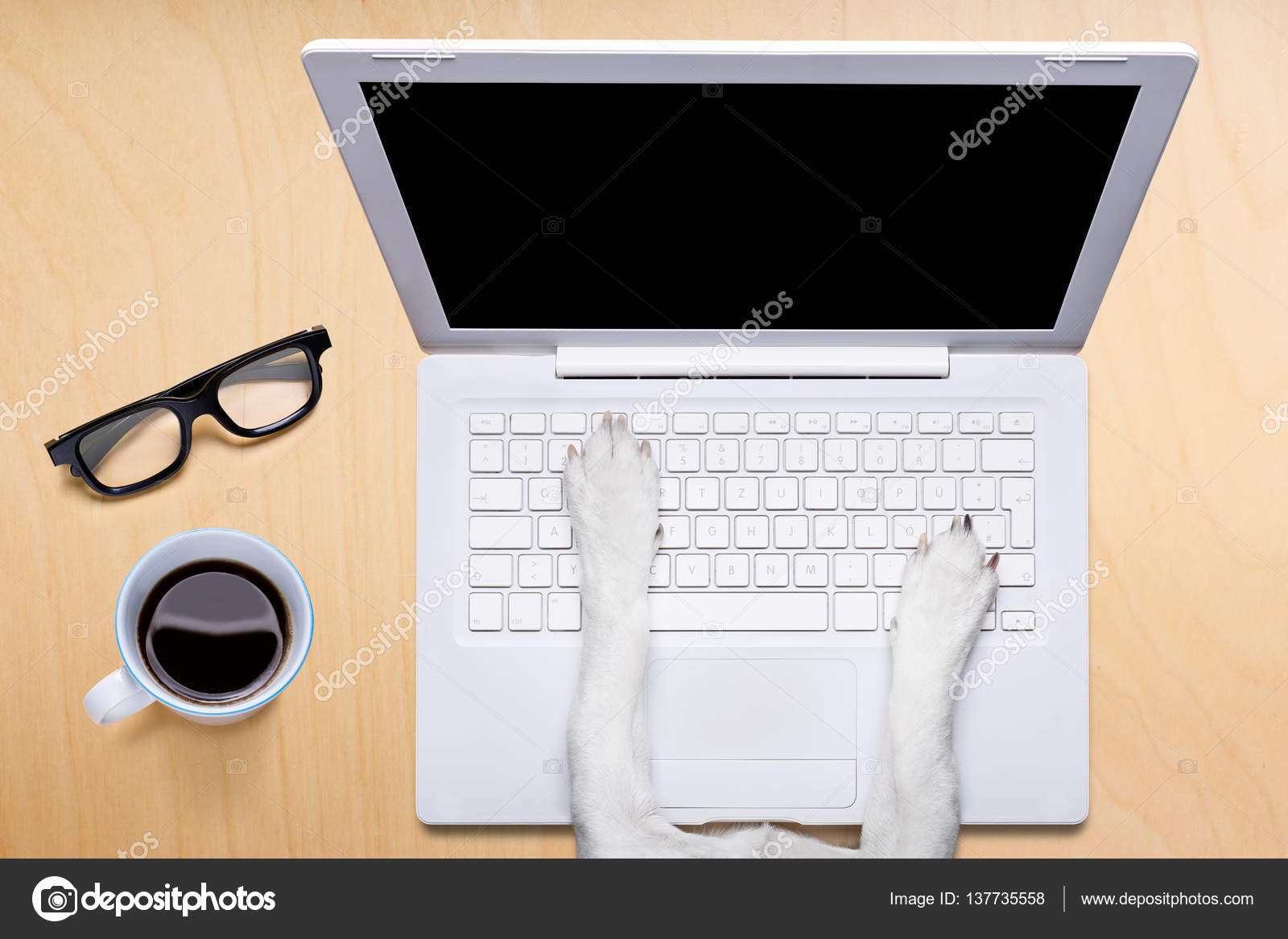 Office Worker Dog With Laptop Pc Computer On Desk Table Stock