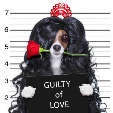 crazy in love valentines dog mugshot clipart