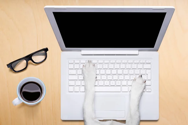 Cão trabalhador de escritório com computador portátil pc na mesa de mesa — Fotografia de Stock