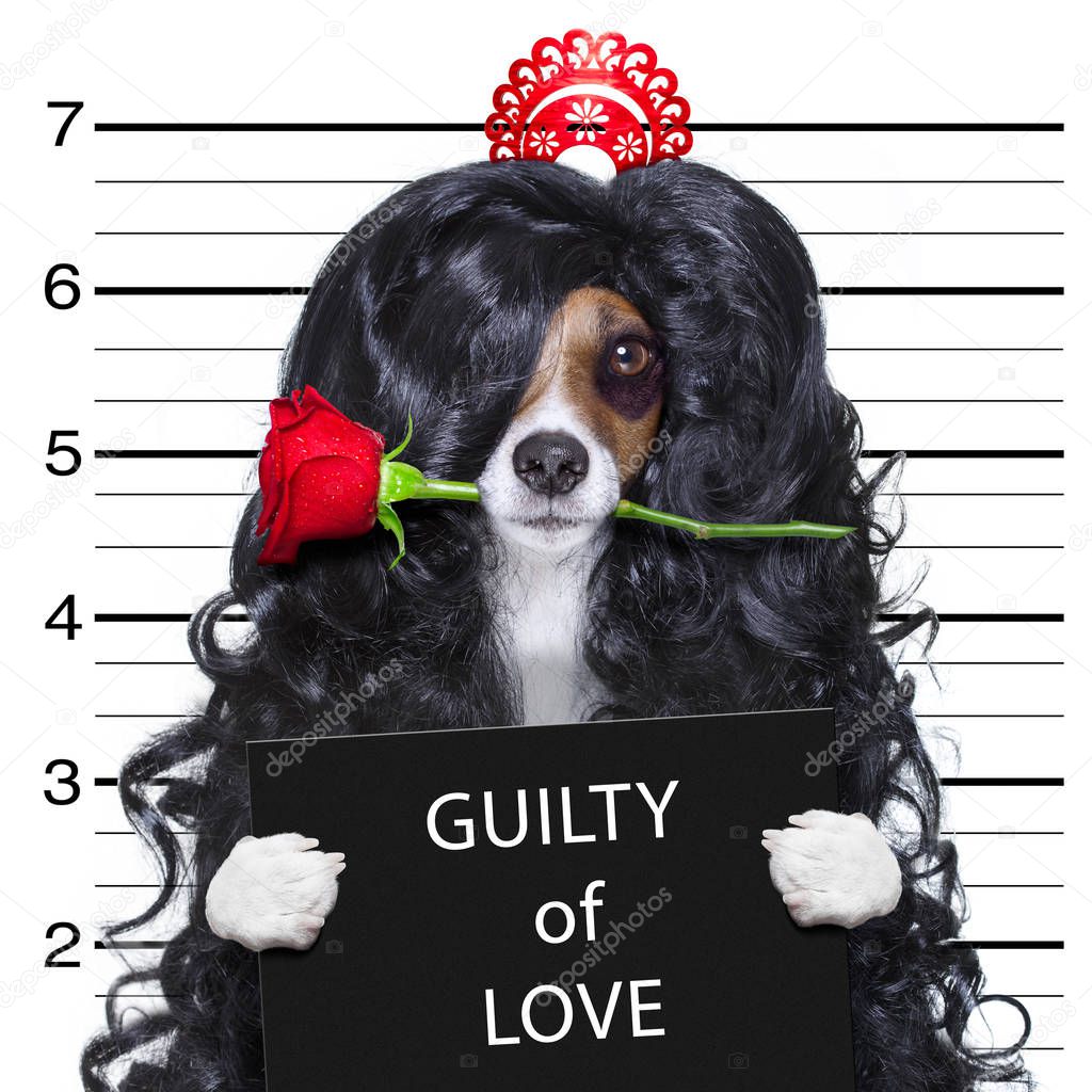 crazy in love valentines dog mugshot