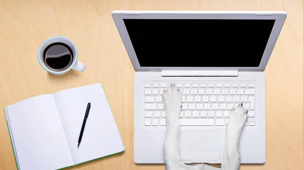 Chien de bureau avec ordinateur portable PC sur table de bureau — Photo