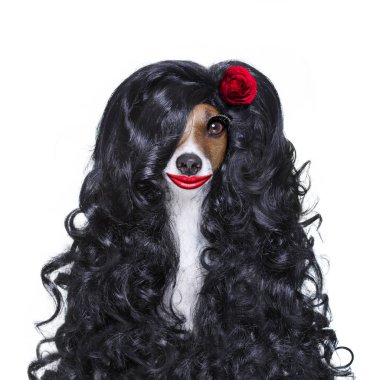 Sevgililer aşk İspanyol lola köpek