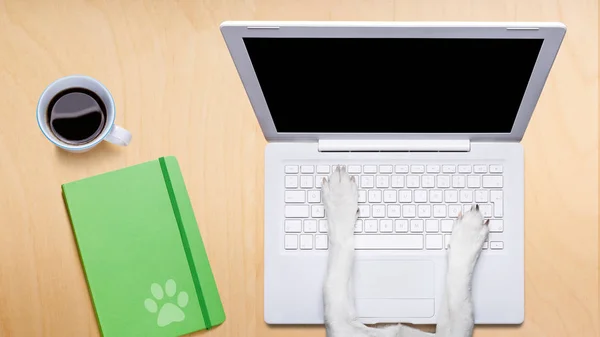 Cão trabalhador de escritório com computador portátil pc na mesa de mesa — Fotografia de Stock