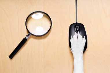 pençe bilgisayar fare ile tıklayın