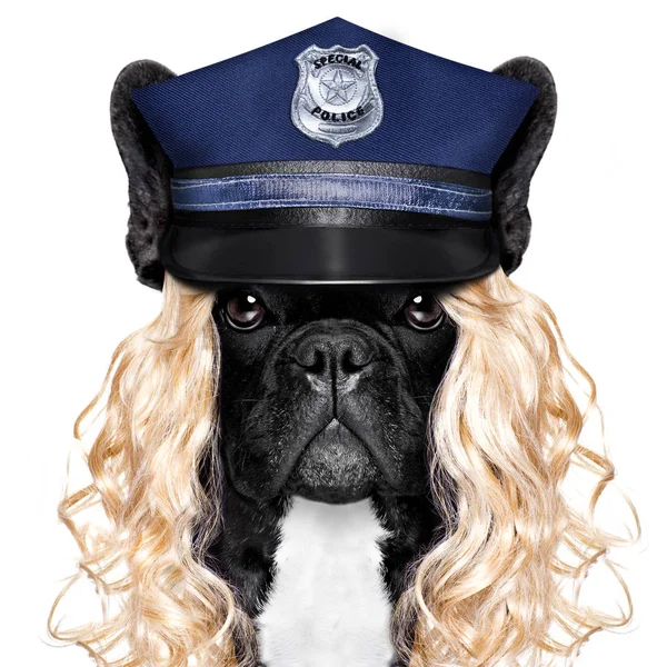 Policjant lub policjantka z psem — Zdjęcie stockowe
