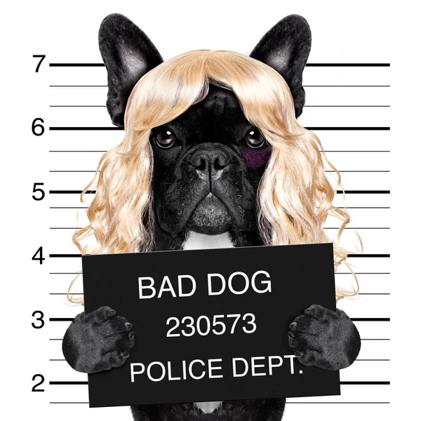 Diva chic mugshot — Stock Photo, Image