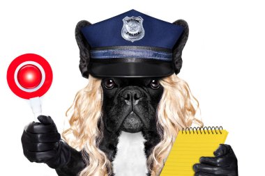 Bilet güzel köpekle kadın polis