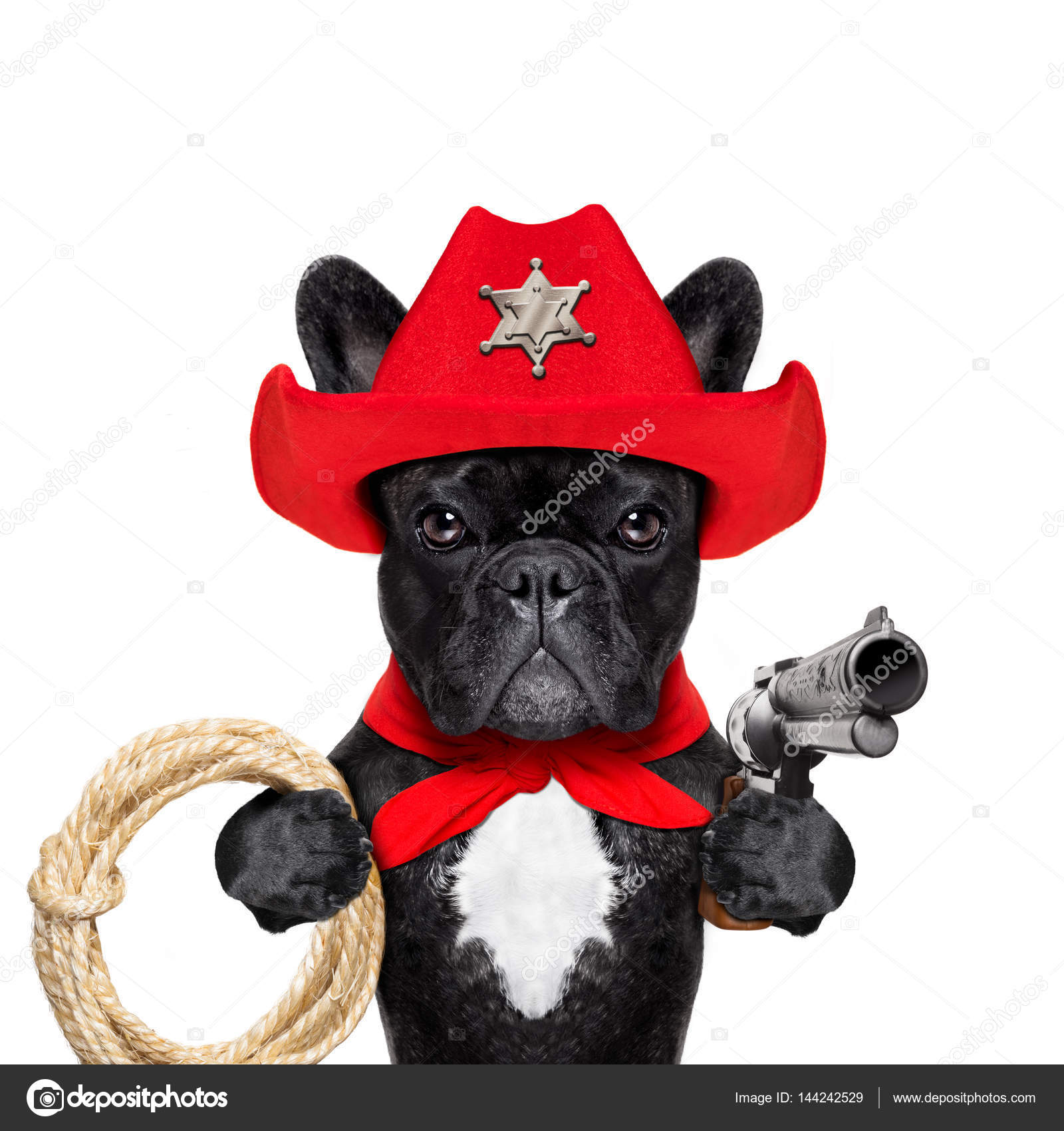 Cowboy western sheriff dog Stock Photo by ©damedeeso 144242529