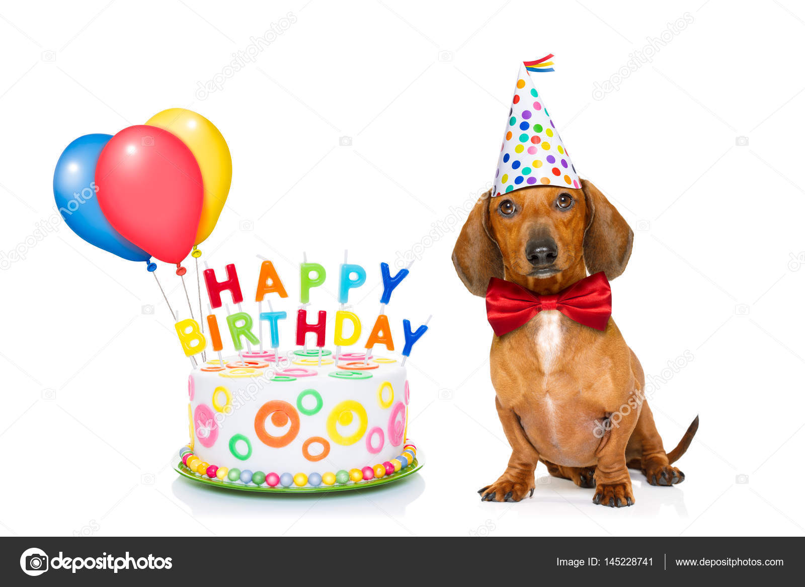 Bon anniversaire chien image libre de droit par damedeeso © #72784309