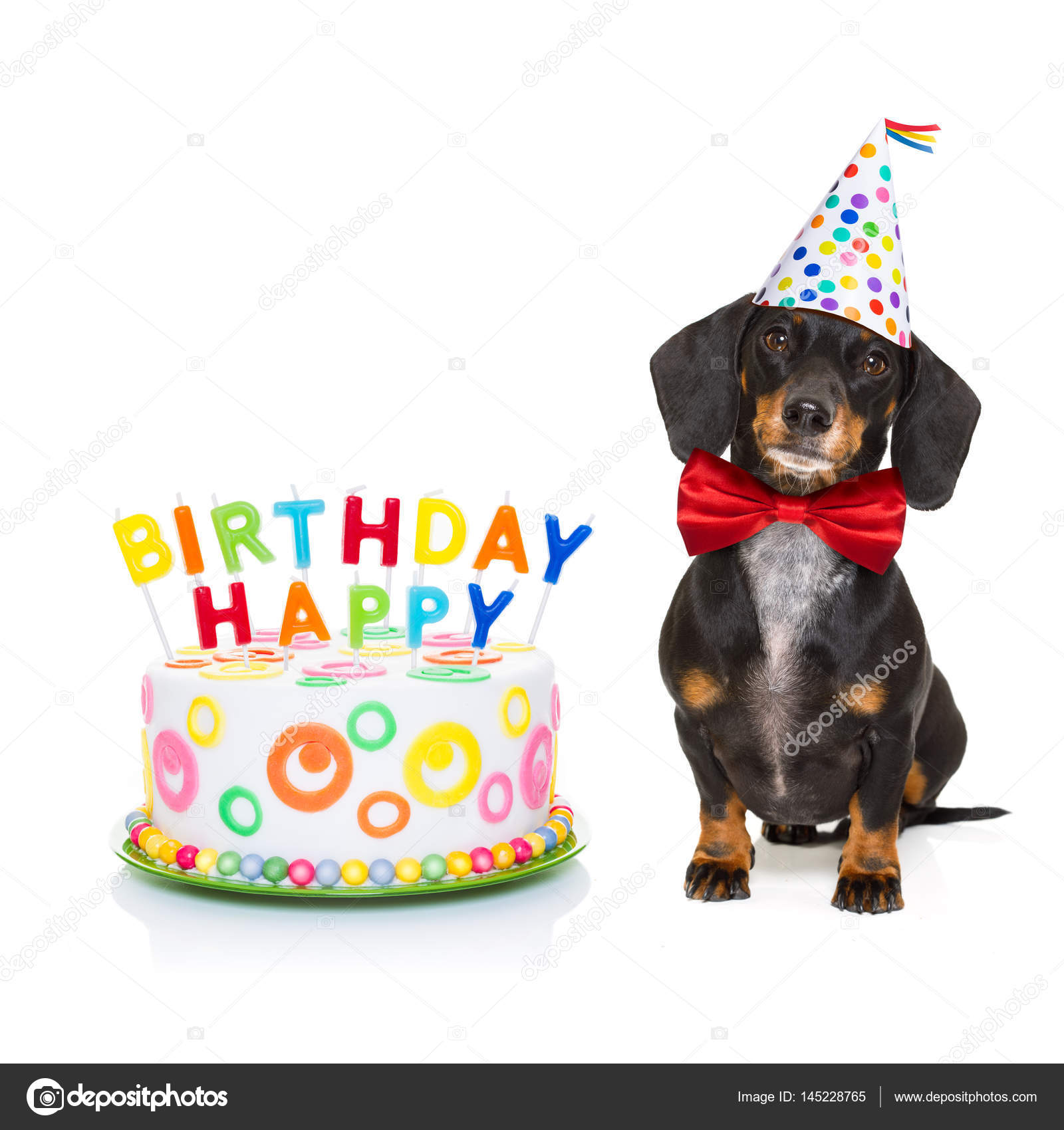 Feliz cumpleaños, perro! Ilustración de stock #145228765 de ©damedeeso, image size:1600x1700