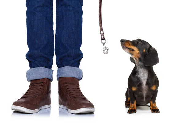 Hund och ägare med koppel — Stockfoto