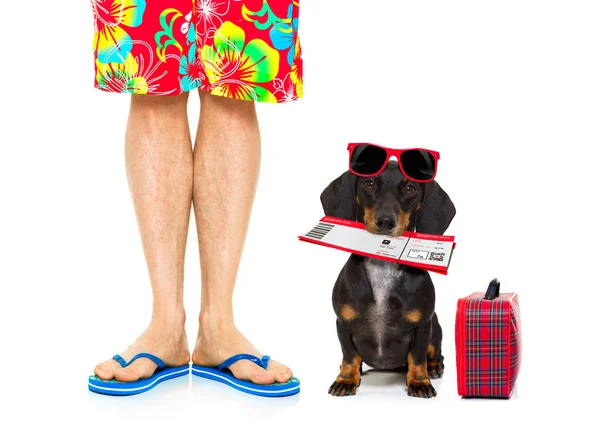 Zwei im Sommerurlaub, Hund und Herrchen — Stockfoto