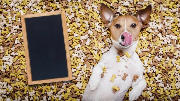 Chien affamé dans un gros monticule alimentaire — Photo