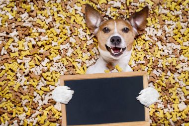 aç köpek büyük gıda Höyük
