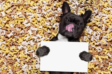aç köpek büyük gıda Höyük