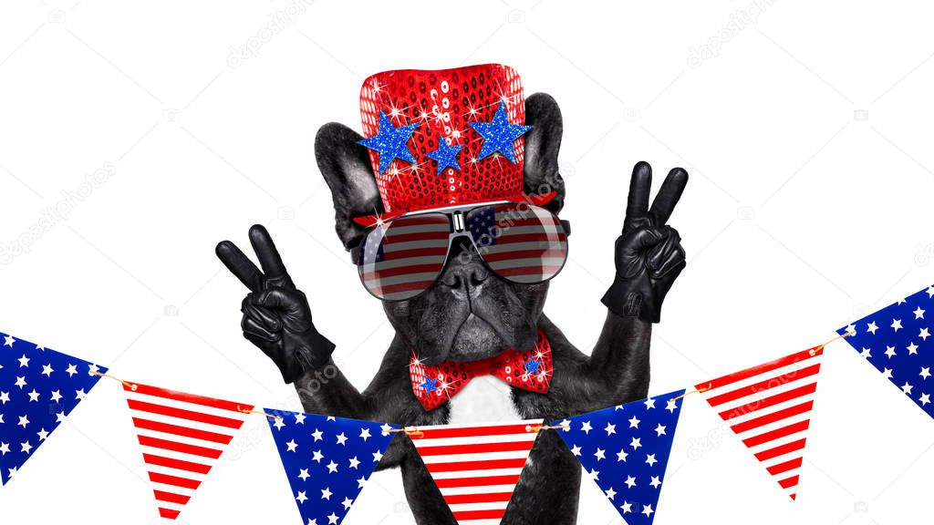 independence day 4th of july dog