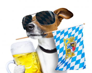 Bavyera bira köpek Festivali 