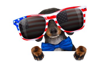independence day 4th of july dog clipart