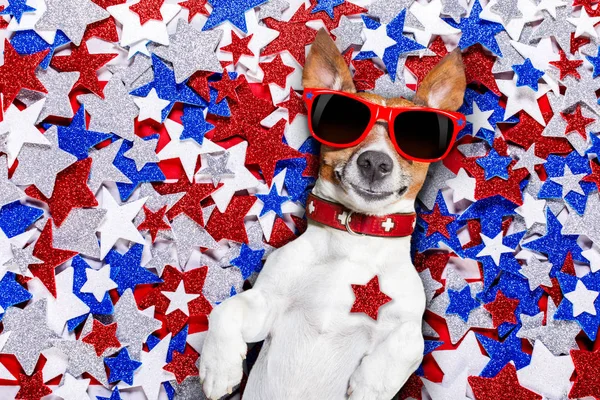 Independência dia 4 de julho cão — Fotografia de Stock