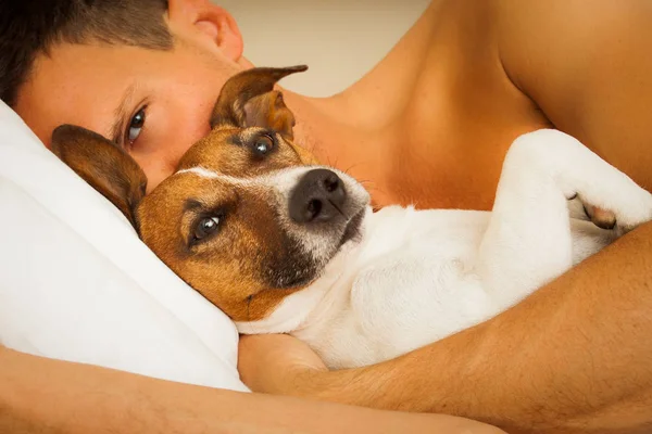 Cão e proprietário dormindo ou sonhando juntos — Fotografia de Stock
