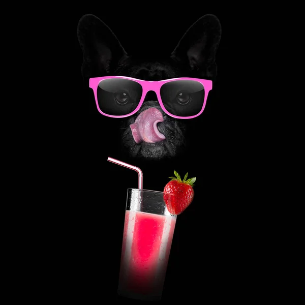 Smoothie Millshake Cocktail Hund — Stockfoto