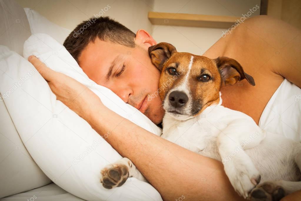 dog and owner sleeping or dreaming together 
