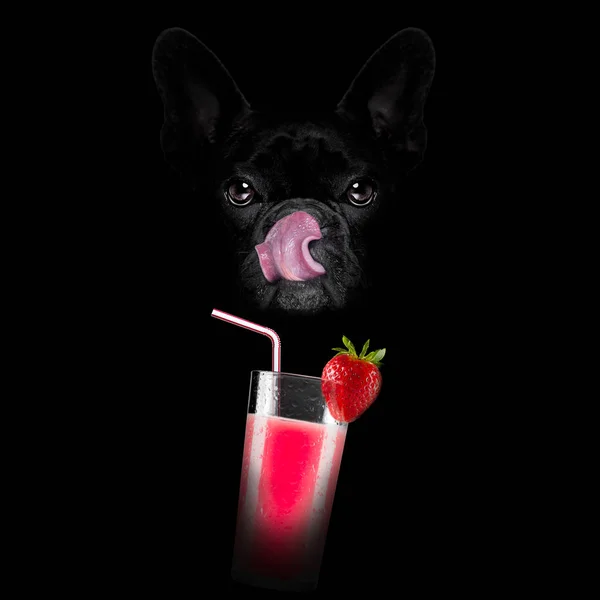 Smoothie millshake cocktail hond — Stockfoto