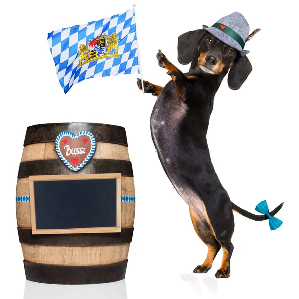 Bavarian beer dog — Stock Photo, Image