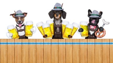 Bavyera bira köpekler satır