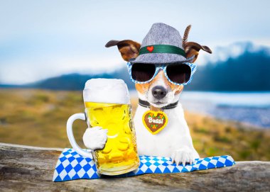 Bavyera bira köpek 