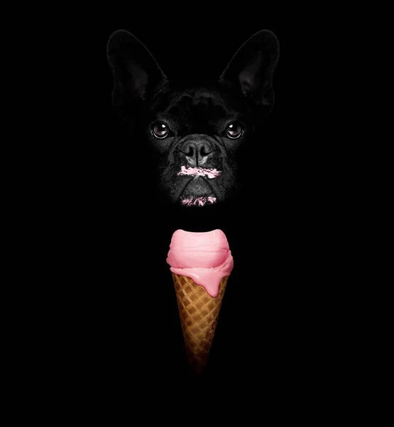 冰淇淋的狗 — 图库照片