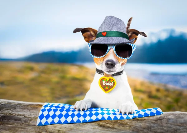 bavarian beer dog