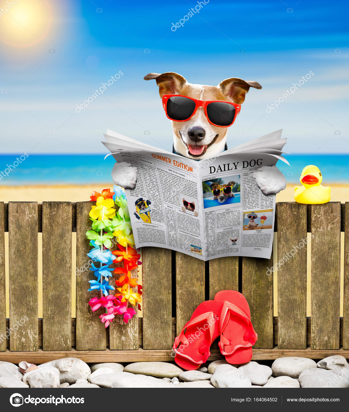 Tablet Helemaal droog Wrijven Hond op strand op zomervakantie vakantie ⬇ Stockfoto, rechtenvrije foto  door © damedeeso #164064502