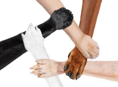 Birleştirilen pençeleri eller bir daire içinde bir takım olarak 