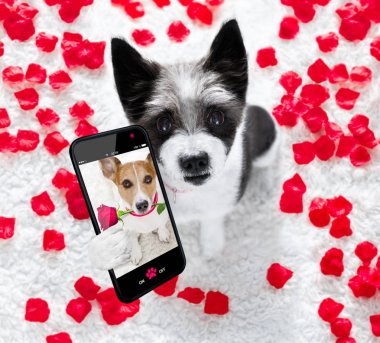 mutlu Sevgililer köpek selfie