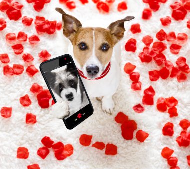 mutlu Sevgililer köpek selfie