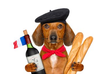 french  sausage  dog clipart