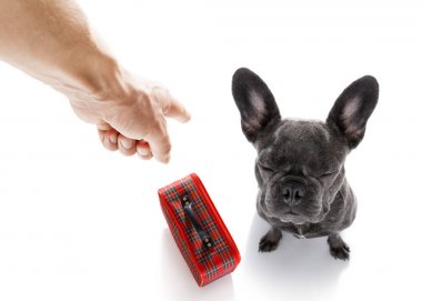 onun köpek cezalandırma sahibi