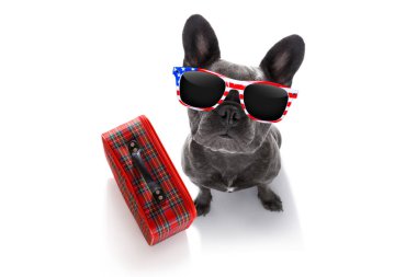 köpek Bagaj ile tatilde