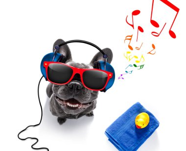 köpek müzik kulaklık ile