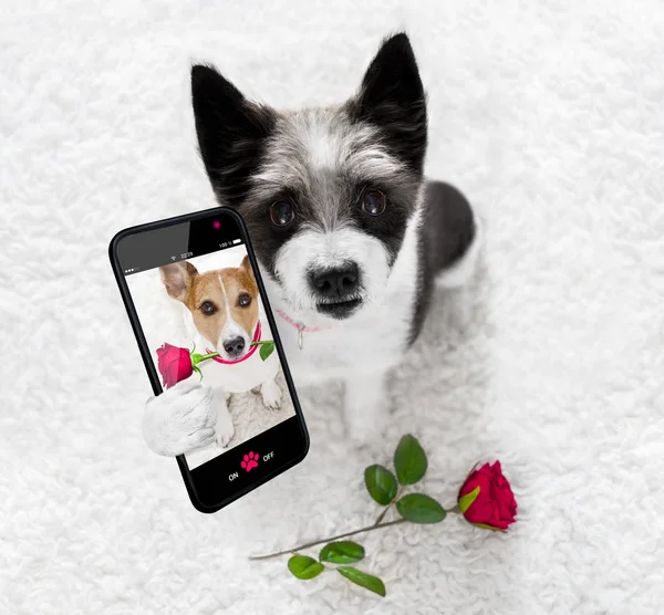 Mutlu Sevgililer köpek selfie — Stok fotoğraf