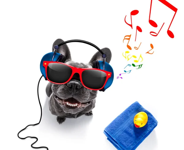 Perro con auriculares de música — Foto de Stock