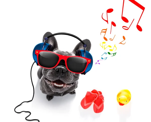 Cão com fones de ouvido música — Fotografia de Stock