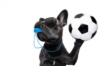 Hakem köpek düdüğü ile