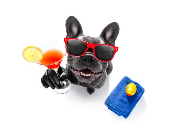 개는 칵테일을 마시는 음주 — 스톡 사진