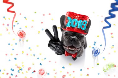 mutlu yeni yıl köpek celberation